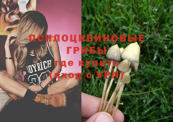 ECSTASY Козловка