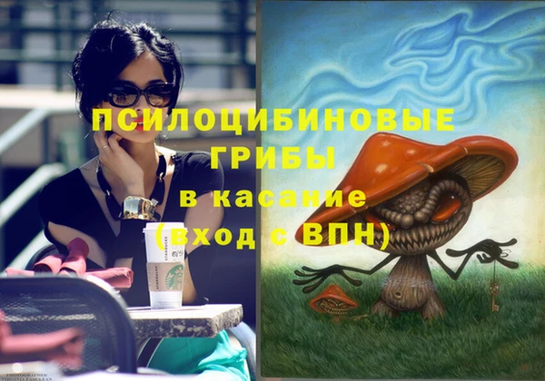 ECSTASY Козловка