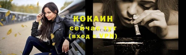 дживик Козельск