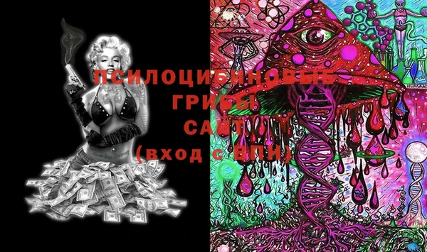 ECSTASY Козловка