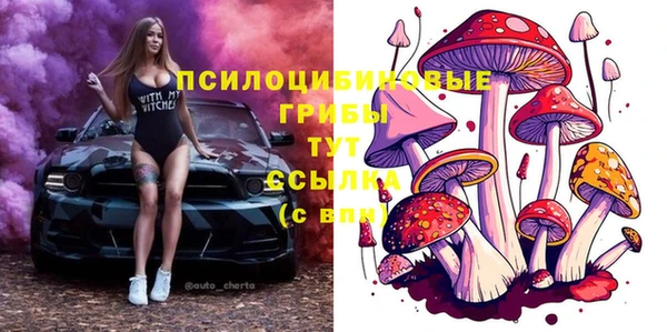 ECSTASY Козловка