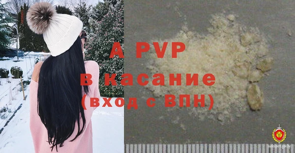 дживик Козельск