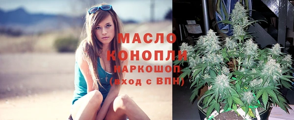 ECSTASY Козловка