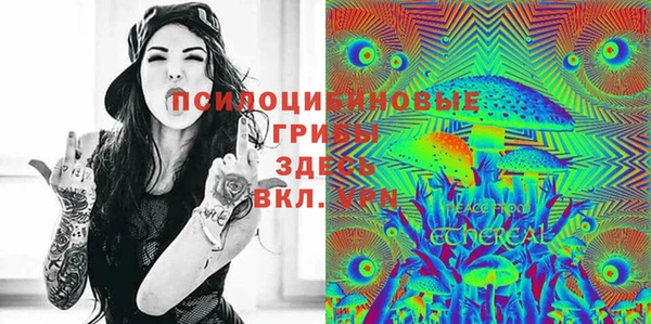 дживик Козельск