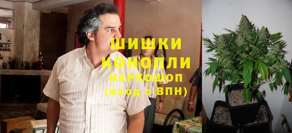 дживик Козельск